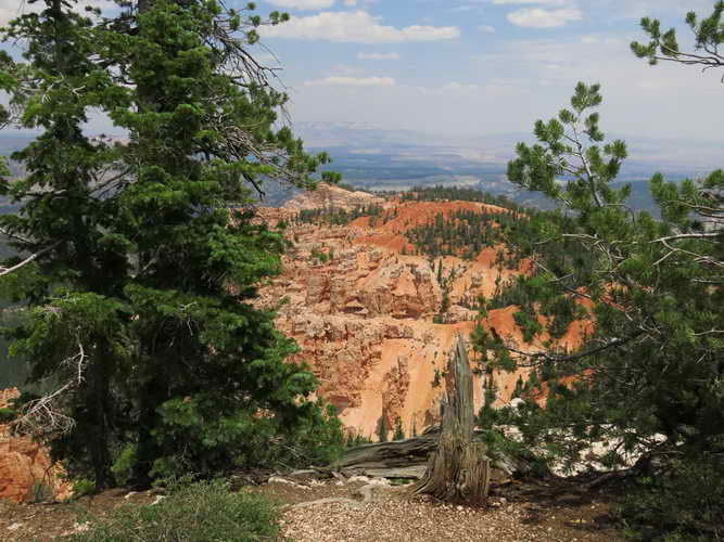 USA_2013-07-10 12-52-26_IMG_1490